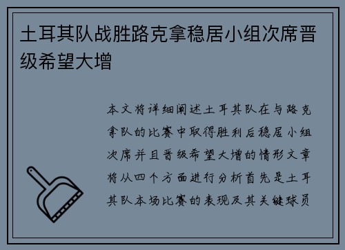 土耳其队战胜路克拿稳居小组次席晋级希望大增